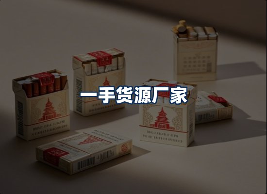 专业团队办公环境